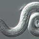 Image: CDC